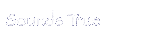 Shop for Sounds True Books, Audio, Music and Gifts