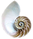 Nautilus Book Awards